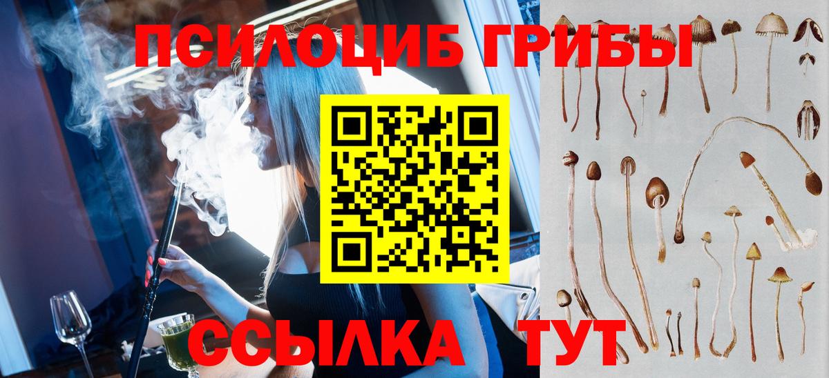 Лесной  дарнет шоп  Вход с VPN  Галлюциногенные грибы Psilocybe 